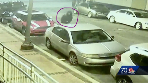 Camera Still of Tire Slasher Suspect